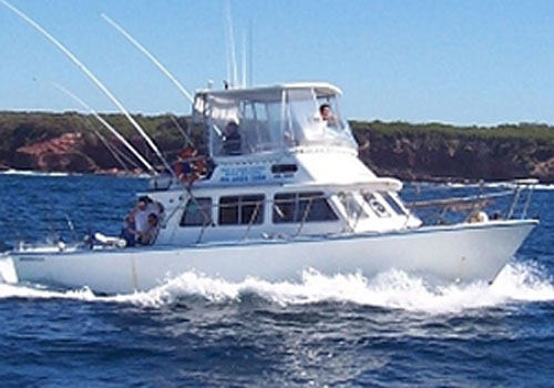 Reel Affair  Fishing Charters & Whale Watching